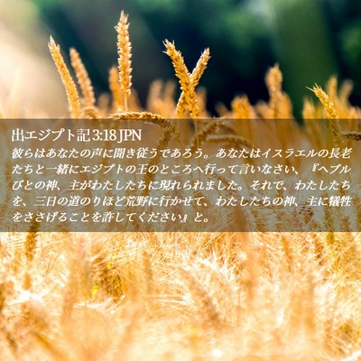 Picture 02 - 出エジプト記 3:18 JPN - 彼らはあなたの声に聞き従うであろ - Bible Verse Picture