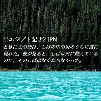 Picture 02 - 出エジプト記 3:2 JPN - ときに主の使は、しばの中の炎のう - Bible Verse Picture