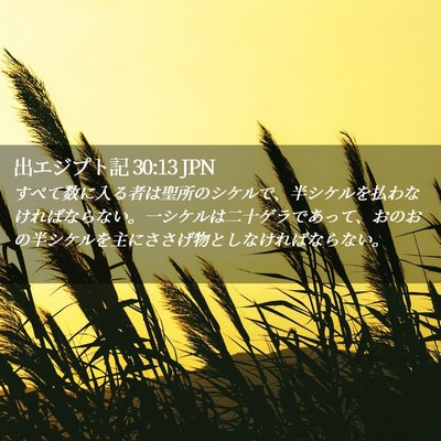 Picture 02 - 出エジプト記 30:13 JPN - すべて数に入る者は聖所のシケルで - Bible Verse Picture