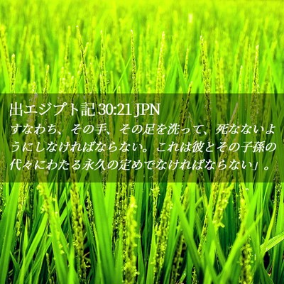 Picture 02 - 出エジプト記 30:21 JPN - すなわち、その手、その足を洗って - Bible Verse Picture