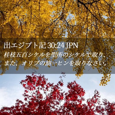 Picture 02 - 出エジプト記 30:24 JPN - 桂枝五百シケルを聖所のシケルで取 - Bible Verse Picture
