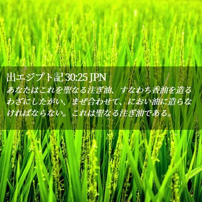 Picture 02 - 出エジプト記 30:25 JPN - あなたはこれを聖なる注ぎ油、すな - Bible Verse Picture