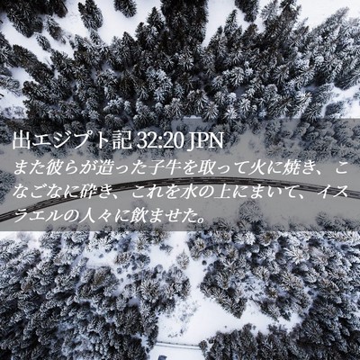Picture 02 - 出エジプト記 32:20 JPN - また彼らが造った子牛を取って火に - Bible Verse Picture
