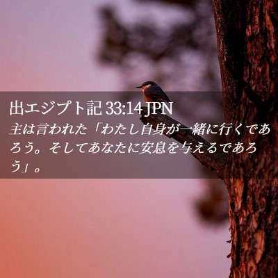 Picture 02 - 出エジプト記 33:14 JPN - 主は言われた「わたし自身が一緒に - Bible Verse Picture