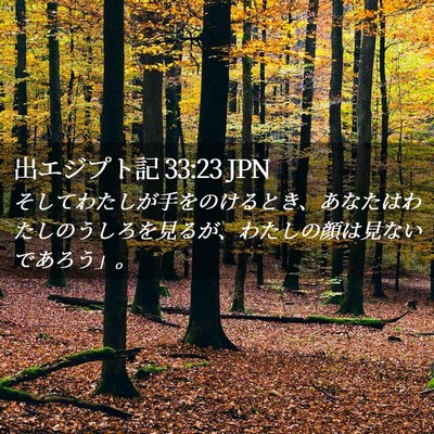 Picture 02 - 出エジプト記 33:23 JPN - そしてわたしが手をのけるとき、あ - Bible Verse Picture