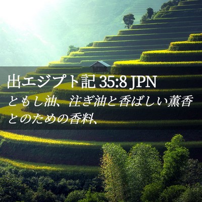 Picture 02 - 出エジプト記 35:8 JPN - ともし油、注ぎ油と香ばしい薫香と - Bible Verse Picture