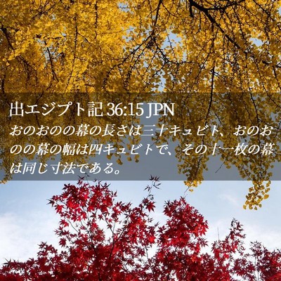 Picture 02 - 出エジプト記 36:15 JPN - おのおのの幕の長さは三十キュビト - Bible Verse Picture