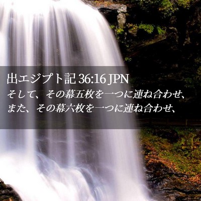 Picture 02 - 出エジプト記 36:16 JPN - そして、その幕五枚を一つに連ね合 - Bible Verse Picture