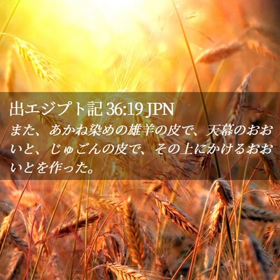 Picture 02 - 出エジプト記 36:19 JPN - また、あかね染めの雄羊の皮で、天 - Bible Verse Picture