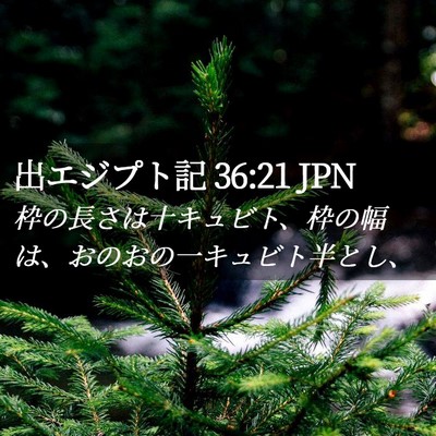 Picture 02 - 出エジプト記 36:21 JPN - 枠の長さは十キュビト、枠の幅は、 - Bible Verse Picture