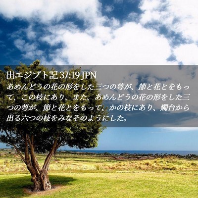 Picture 02 - 出エジプト記 37:19 JPN - あめんどうの花の形をした三つの萼 - Bible Verse Picture