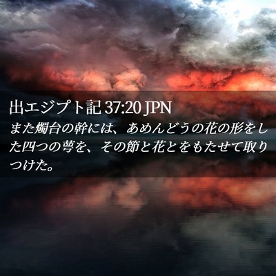 Picture 02 - 出エジプト記 37:20 JPN - また燭台の幹には、あめんどうの花 - Bible Verse Picture