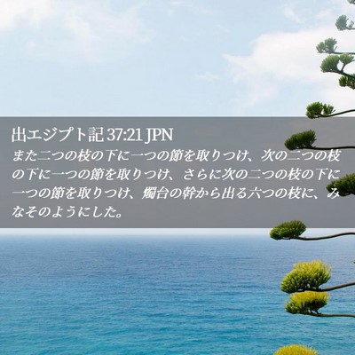 Picture 02 - 出エジプト記 37:21 JPN - また二つの枝の下に一つの節を取り - Bible Verse Picture