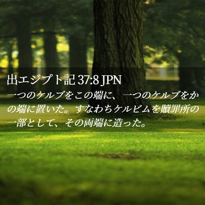 Picture 02 - 出エジプト記 37:8 JPN - 一つのケルブをこの端に、一つのケ - Bible Verse Picture