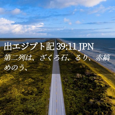 Picture 02 - 出エジプト記 39:11 JPN - 第二列は、ざくろ石、るり、赤縞め - Bible Verse Picture