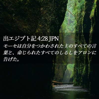 Picture 02 - 出エジプト記 4:28 JPN - モーセは自分をつかわされた主のす - Bible Verse Picture