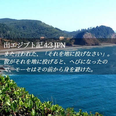 Picture 02 - 出エジプト記 4:3 JPN - また言われた、「それを地に投げな - Bible Verse Picture