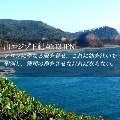 Picture 02 - 出エジプト記 40:13 JPN - アロンに聖なる服を着せ、これに油 - Bible Verse Picture