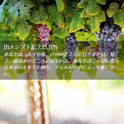Picture 02 - 出エジプト記 7:15 JPN - あなたは、あすの朝、パロのところ - Bible Verse Picture