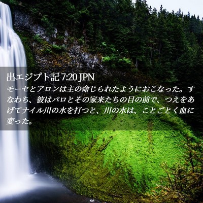 Picture 02 - 出エジプト記 7:20 JPN - モーセとアロンは主の命じられたよ - Bible Verse Picture