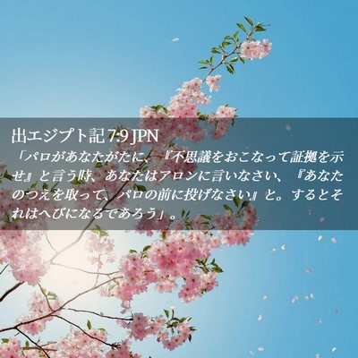 Picture 02 - 出エジプト記 7:9 JPN - 「パロがあなたがたに、『不思議を - Bible Verse Picture