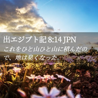 Picture 02 - 出エジプト記 8:14 JPN - これをひと山ひと山に積んだので、 - Bible Verse Picture