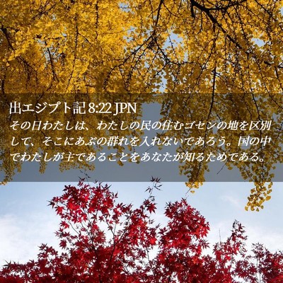 Picture 02 - 出エジプト記 8:22 JPN - その日わたしは、わたしの民の住む - Bible Verse Picture
