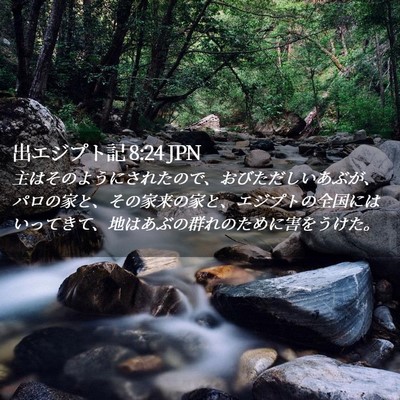 Picture 02 - 出エジプト記 8:24 JPN - 主はそのようにされたので、おびた - Bible Verse Picture