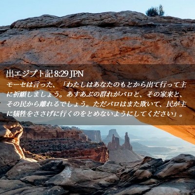 Picture 02 - 出エジプト記 8:29 JPN - モーセは言った、「わたしはあなた - Bible Verse Picture