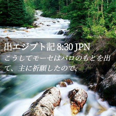 Picture 02 - 出エジプト記 8:30 JPN - こうしてモーセはパロのもとを出て - Bible Verse Picture