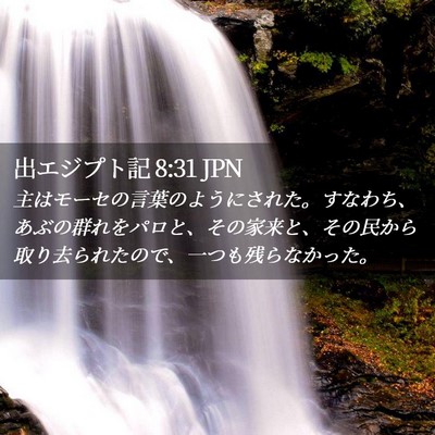 Picture 02 - 出エジプト記 8:31 JPN - 主はモーセの言葉のようにされた。 - Bible Verse Picture