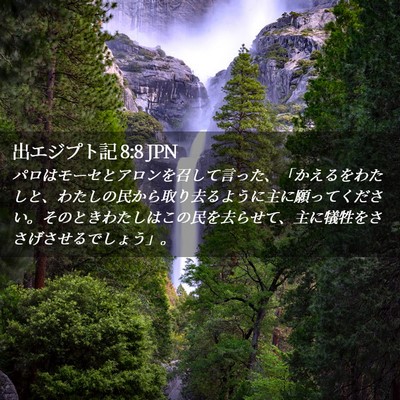 Picture 02 - 出エジプト記 8:8 JPN - パロはモーセとアロンを召して言っ - Bible Verse Picture