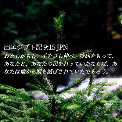 Picture 02 - 出エジプト記 9:15 JPN - わたしがもし、手をさし伸べ、疫病 - Bible Verse Picture