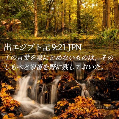 Picture 02 - 出エジプト記 9:21 JPN - 主の言葉を意にとめないものは、そ - Bible Verse Picture