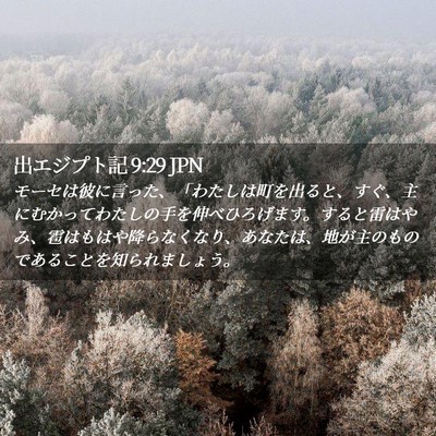 Picture 02 - 出エジプト記 9:29 JPN - モーセは彼に言った、「わたしは町 - Bible Verse Picture