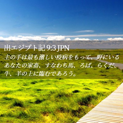 Picture 02 - 出エジプト記 9:3 JPN - 主の手は最も激しい疫病をもって、 - Bible Verse Picture