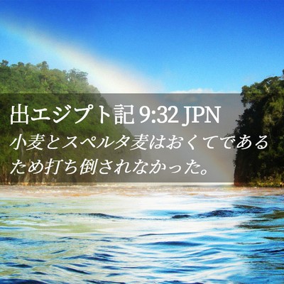 Picture 02 - 出エジプト記 9:32 JPN - 小麦とスペルタ麦はおくてであるた - Bible Verse Picture