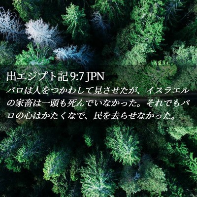 Picture 02 - 出エジプト記 9:7 JPN - パロは人をつかわして見させたが、 - Bible Verse Picture