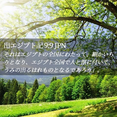 Picture 02 - 出エジプト記 9:9 JPN - それはエジプトの全国にわたって、 - Bible Verse Picture