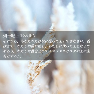 Picture 02 - 列王紀上 1:35 JPN - それから、あなたがたは彼に従って - Bible Verse Picture