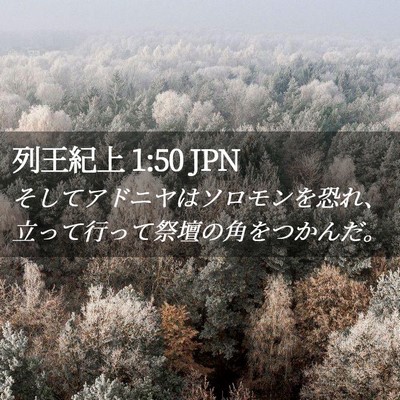 Picture 02 - 列王紀上 1:50 JPN - そしてアドニヤはソロモンを恐れ、 - Bible Verse Picture