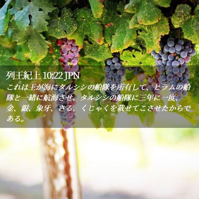 Picture 02 - 列王紀上 10:22 JPN - これは王が海にタルシシの船隊を所 - Bible Verse Picture