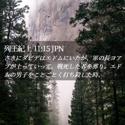 Picture 02 - 列王紀上 11:15 JPN - さきにダビデはエドムにいたが、軍 - Bible Verse Picture