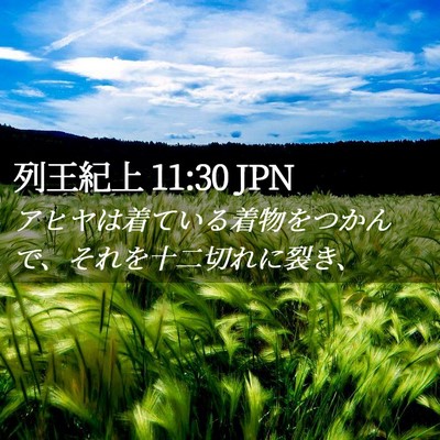 Picture 02 - 列王紀上 11:30 JPN - アヒヤは着ている着物をつかんで、 - Bible Verse Picture