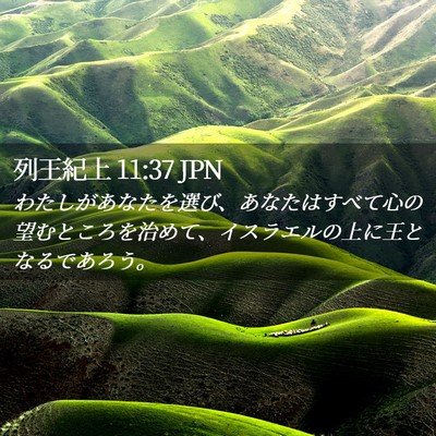Picture 02 - 列王紀上 11:37 JPN - わたしがあなたを選び、あなたはす - Bible Verse Picture