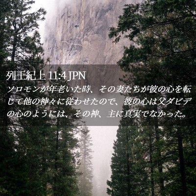 Picture 02 - 列王紀上 11:4 JPN - ソロモンが年老いた時、その妻たち - Bible Verse Picture