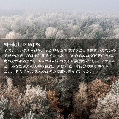 Picture 02 - 列王紀上 12:16 JPN - イスラエルの人々は皆、王が自分た - Bible Verse Picture