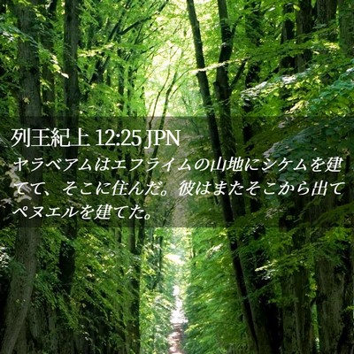 Picture 02 - 列王紀上 12:25 JPN - ヤラベアムはエフライムの山地にシ - Bible Verse Picture