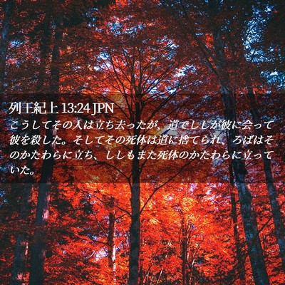 Picture 02 - 列王紀上 13:24 JPN - こうしてその人は立ち去ったが、道 - Bible Verse Picture