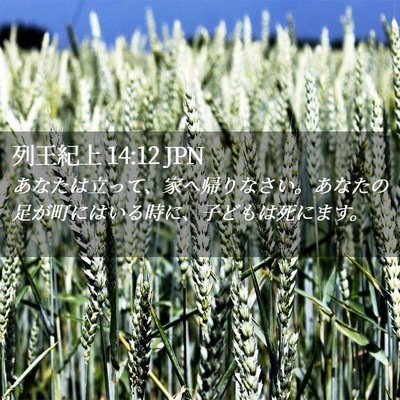 Picture 02 - 列王紀上 14:12 JPN - あなたは立って、家へ帰りなさい。 - Bible Verse Picture